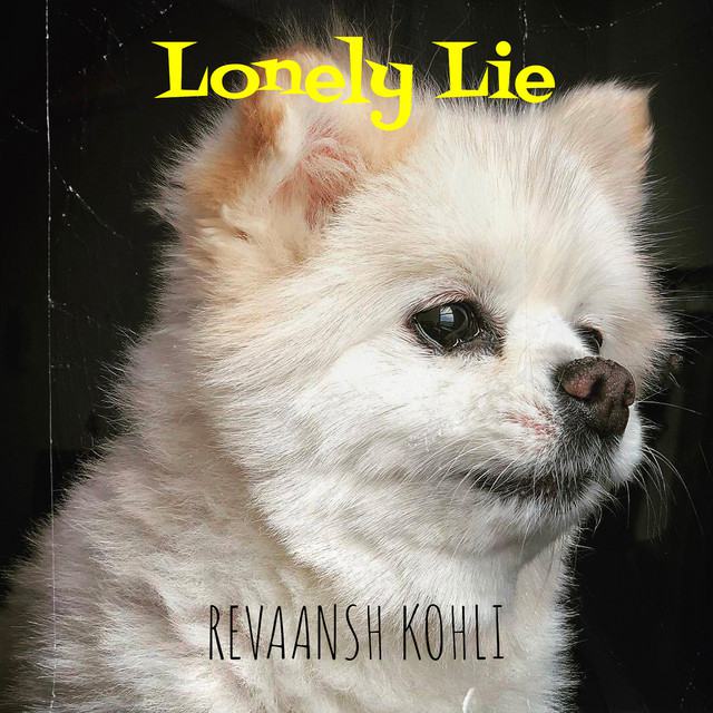 Lonely Lie cover — Revaansh Kohli